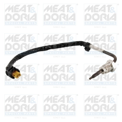 Sensor, exhaust gas temperature